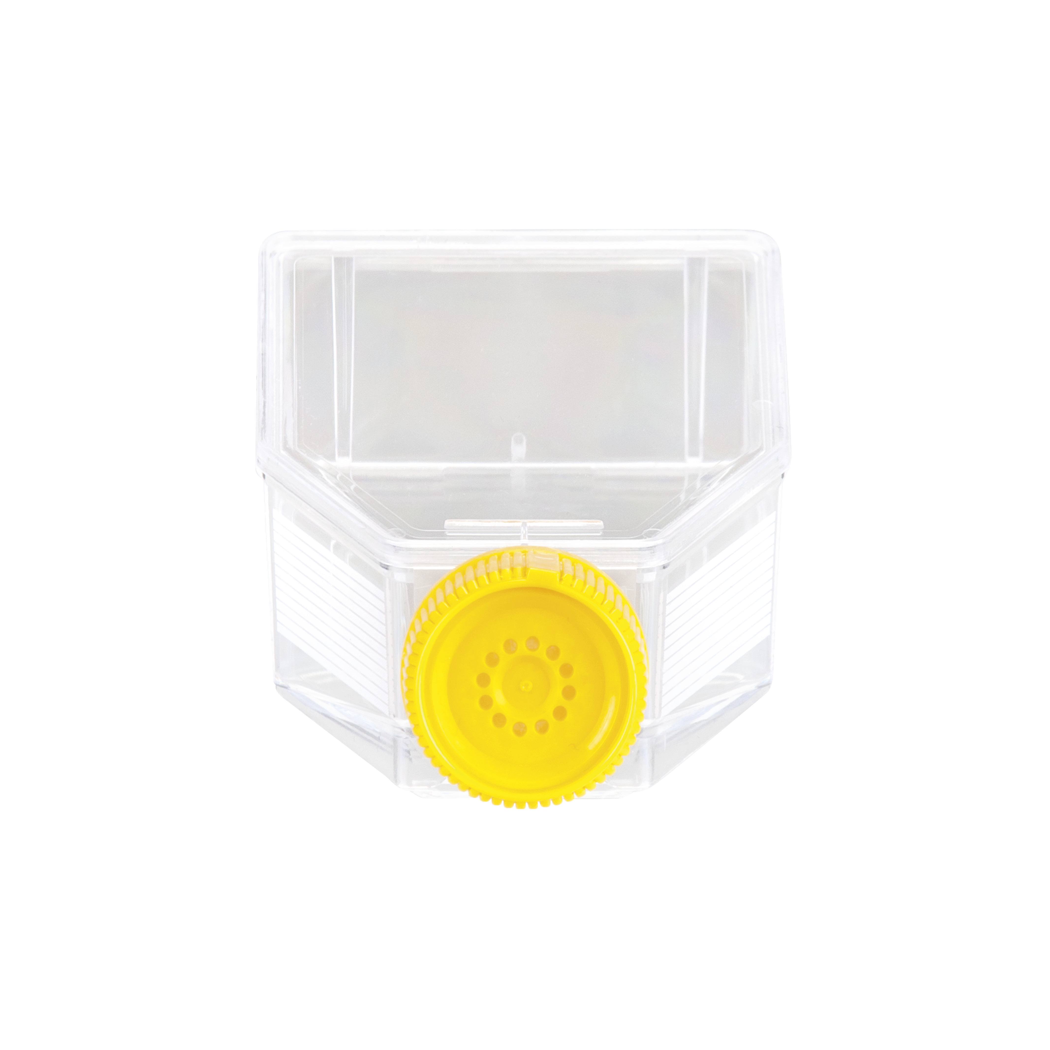 FRASCO DE CULTURA CELULAR 25 CM2 (15ML), ...